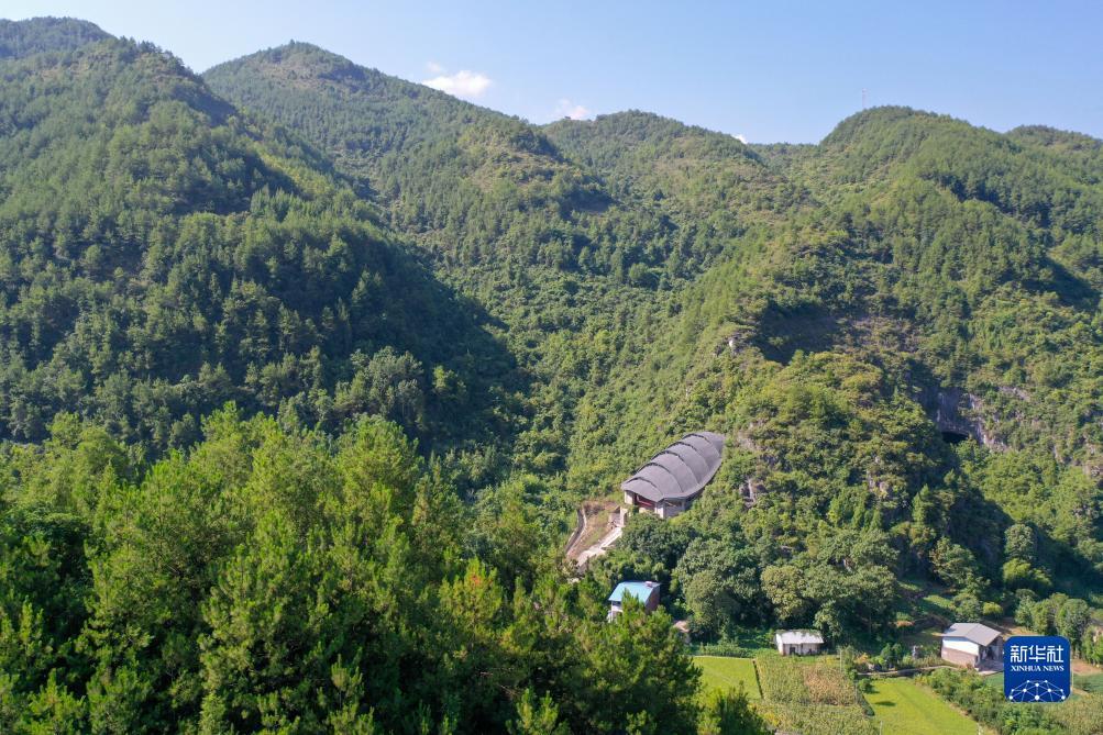 宝马会下载